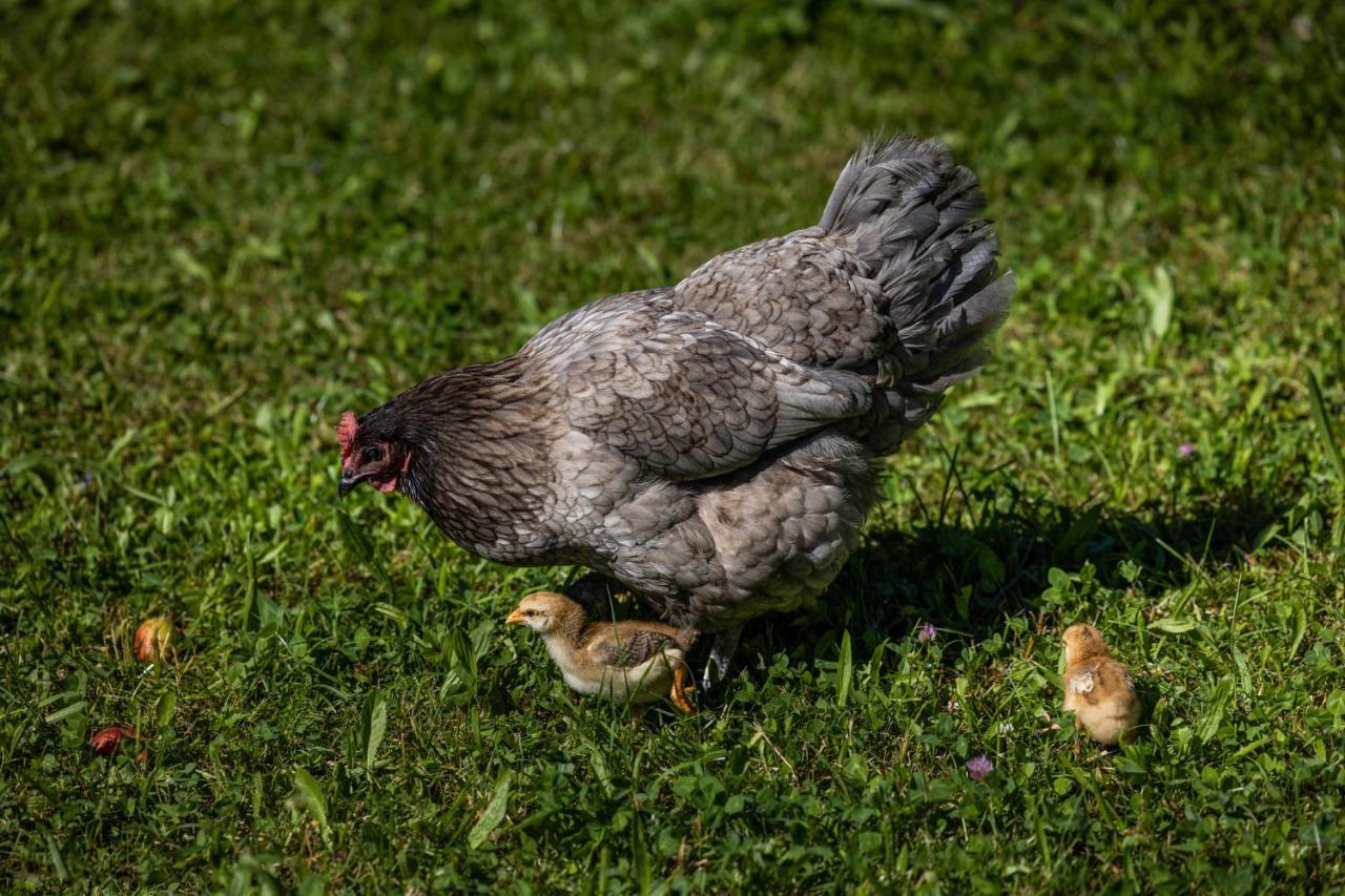 Wassererlehen Bischofswiesen