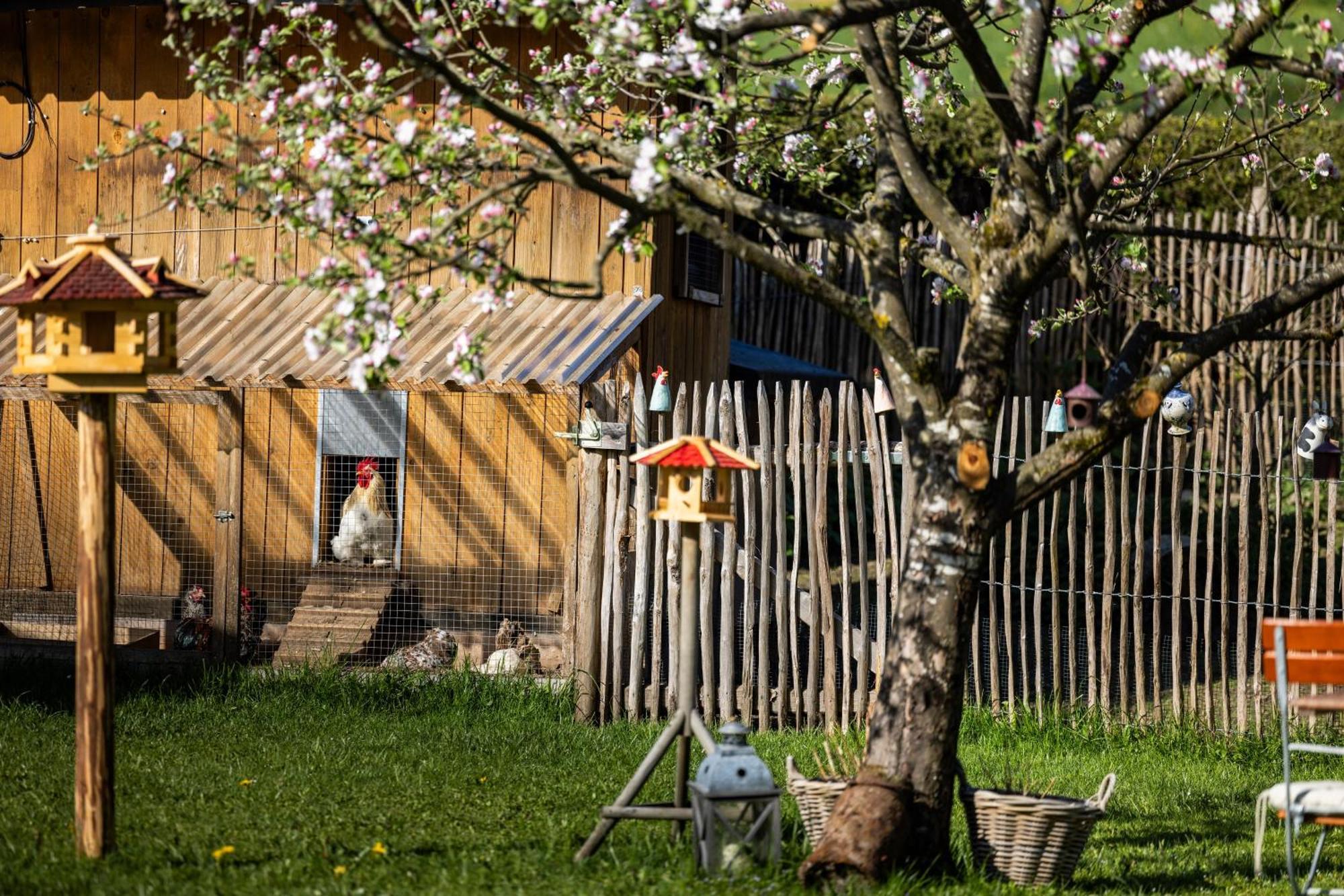 Wassererlehen Bischofswiesen