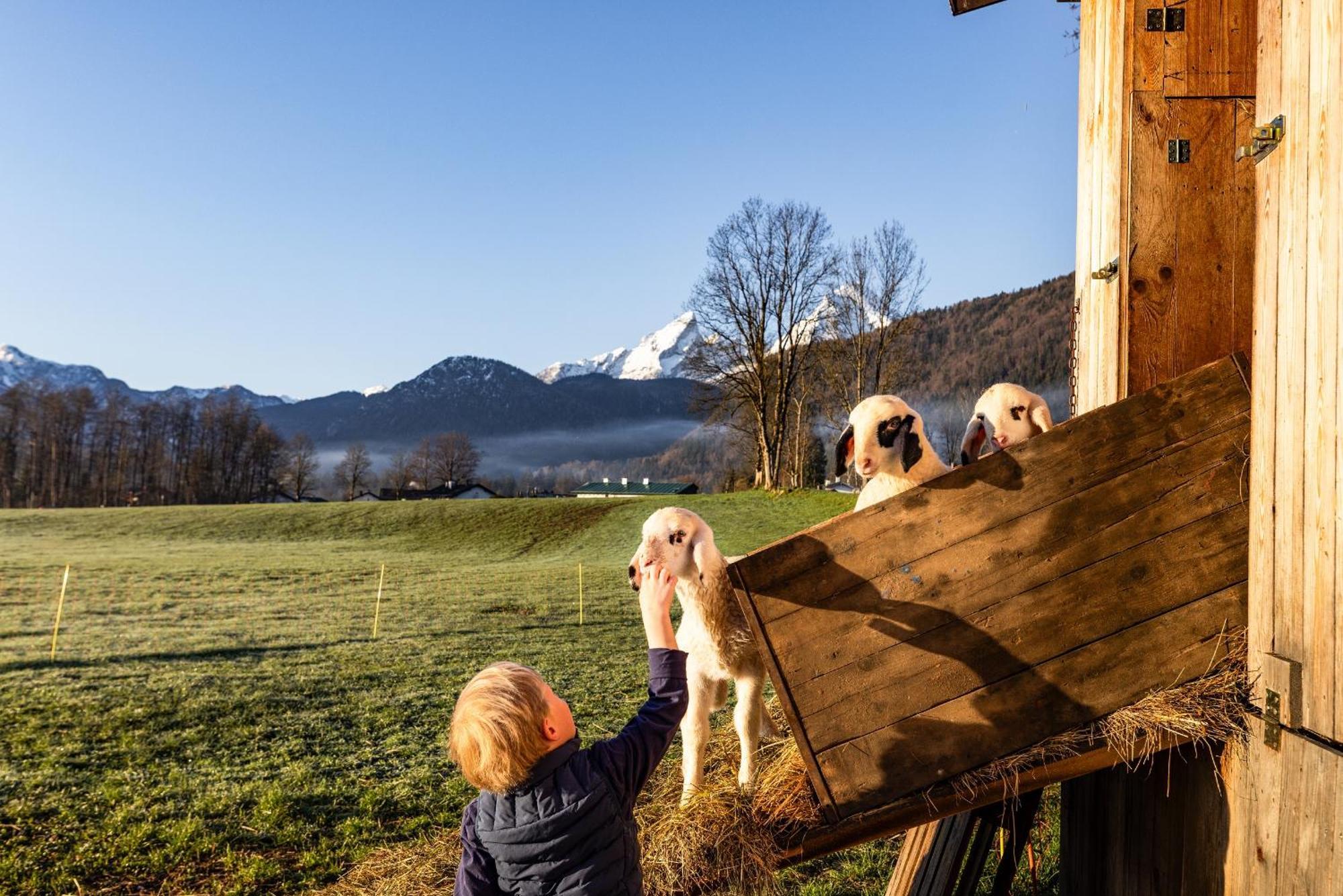 Wassererlehen * Bischofswiesen