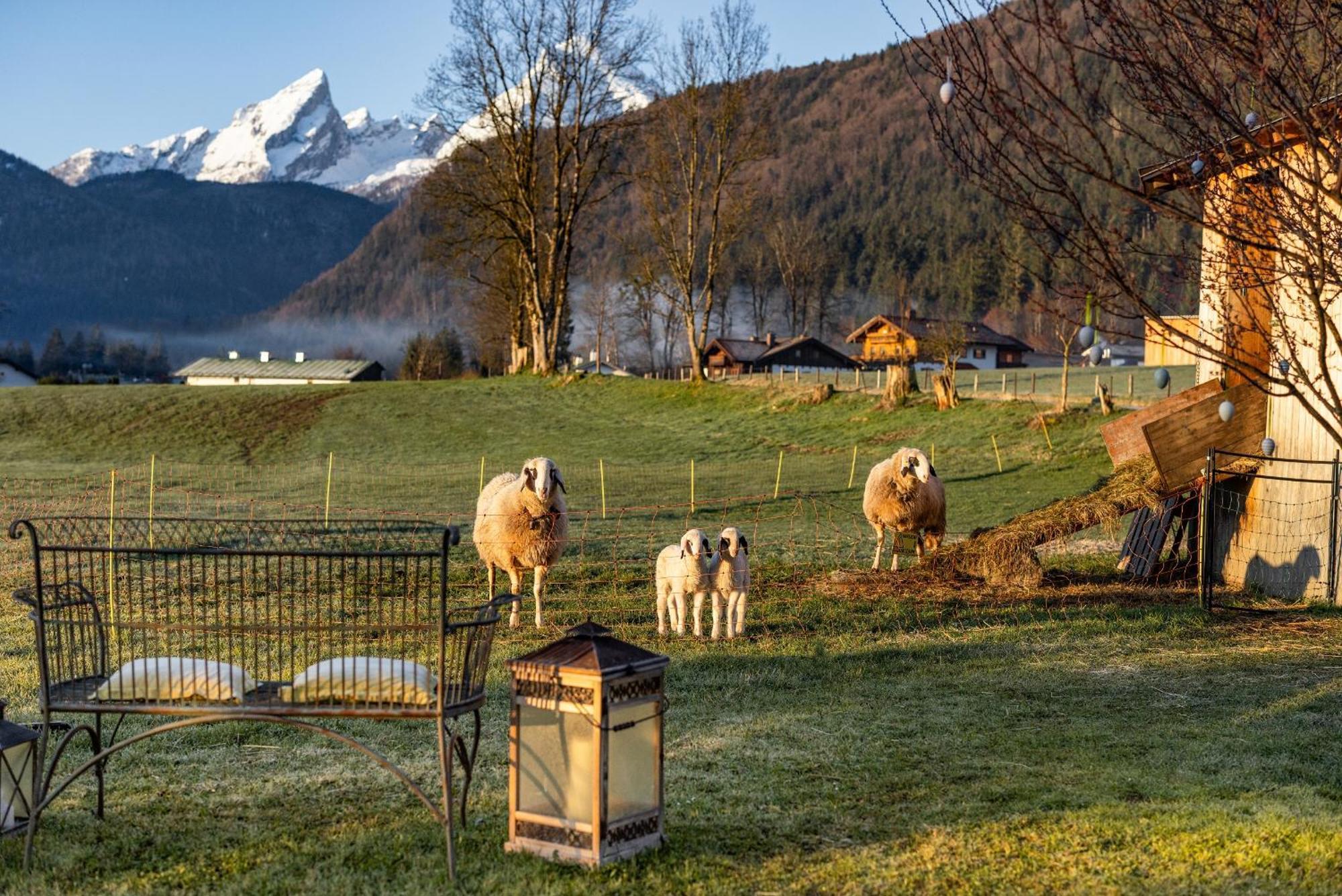 Wassererlehen Bauernhof